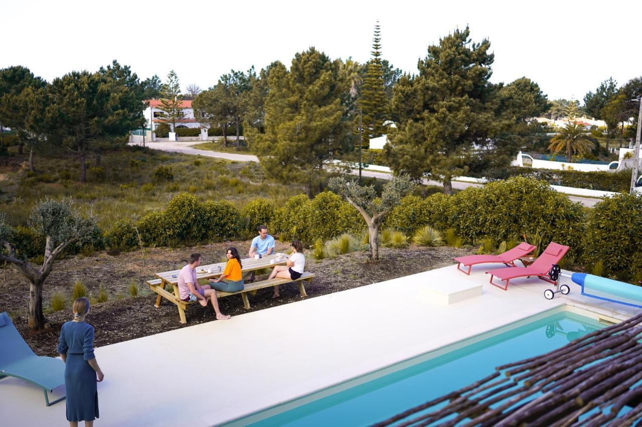 Lodge Birds Of Paradise - Boutique Surf
