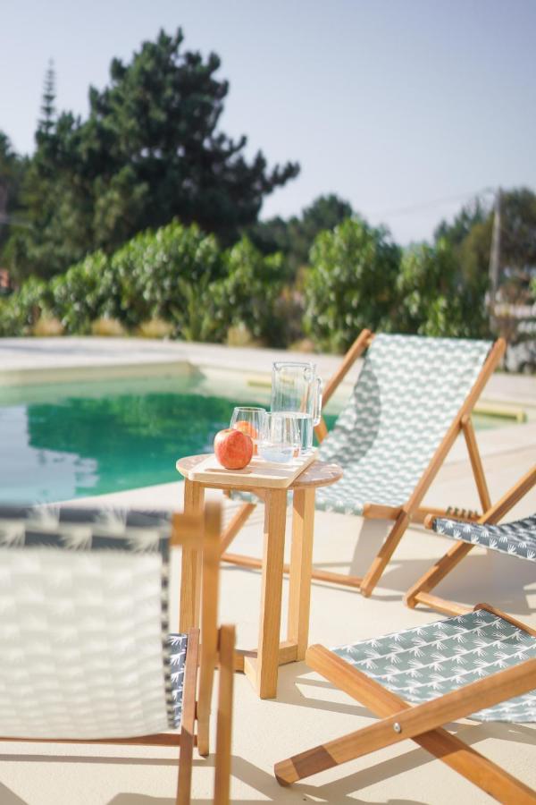 Birds Of Paradise - Boutique Surf Aljezur